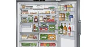 Master Your Sub-Zero Freezer